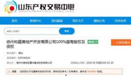 德州市最新爆料消息,揭秘城市变迁背后的故事