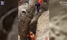 南充观察爆料事件最新,揭开事件背后惊人真相